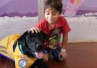 EL GARRAHAN IMPLEMENTA POR PRIMERA VEZ LA TERAPIA ASISTIDA CON PERROS PARA PACIENTES INTERNADOS