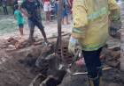 VILLA ÁNGELA: BOMBEROS RESCATARON A UN CABALLO QUE CAYÓ EN UN POZO