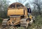 PROPONEN AUMENTAR PENAS POR DESMONTES Y PROMOVER LA REFORESTACIÓN