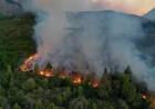 EL GOBIERNO DECLARÓ LA EMERGENCIA ÍGNEA Y ZONA DE DESASTRE EN CUATRO PROVINCIAS POR LOS INCENDIOS FORESTALES
