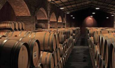 UN GRUPO ASOCIATIVO DE MUJERES PRODUCTORAS DE VINOS REALIZARÁ SU PRIMERA EXPORTACIÓN