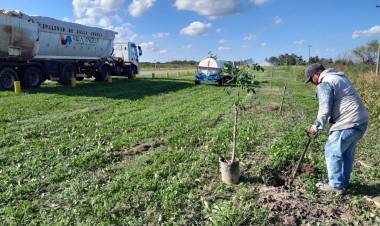 VILLA ANGELA: TRABAJOS DE REFORESTACIÓN EN DISTINTOS PUNTOS DE LA CIUDAD
