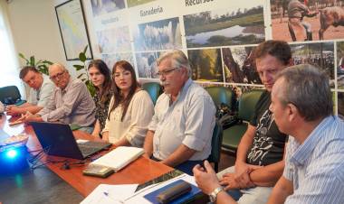 PROPONEN DECLARAR LA EMERGENCIA AGROPECUARIA EN 6 DEPARTAMENTOS DEL CHACO, ANTE LA OLA DE CALOR Y EL DÉFICIT HÍDRICO 