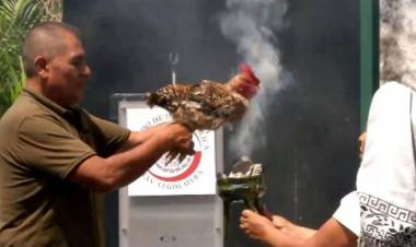 ESCÁNDALO POR UN SACRIFICIO DE SANGRE AL DIOS TLALOC EN EL SENADO DE MÉXICO