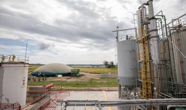 ACTUALIZACÍON DE PRECIOS