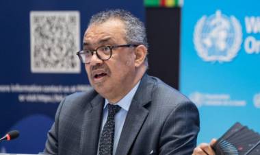 OMS PRESIONA PARA DAR ESTATUS OFICIAL EN SU SENO A GRUPO PRO-IDEOLOGÍA DE GÉNERO