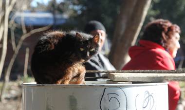 UNA FAMILIA TIPO NECESITÓ  850 MIL PESOS PARA NO SER POBRE