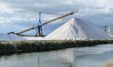 GRANDES EMPRESAS SIN CEPO Y UN PAÍS SIN DÓLARES