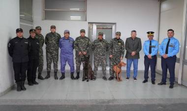 EL GOBIERNO PROVINCIAL ENVIÓ UN EQUIPO A COLABORAR CON LA BÚSQUEDA DE LOAN EN CORRIENTES