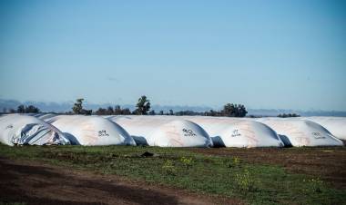 SIN CASTIGO POR ESPECULAR