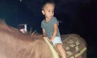 PARA LOS FISCALES FEDERALES "COBRA FUERZA LA HIPÓTESIS DE CRIMINALIDAD ORGANIZADA"