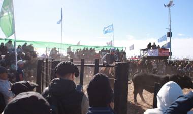 CHARATA: AGRONEA 2024, GANADERÍA, ANÁLISIS ECONÓMICO Y CIBERSEGURIDAD SOBRESALIERON EN OTRA JORNADA EXITOSA