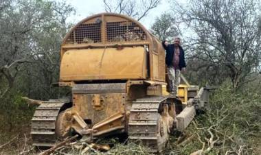 PROPONEN AUMENTAR PENAS POR DESMONTES Y PROMOVER LA REFORESTACIÓN
