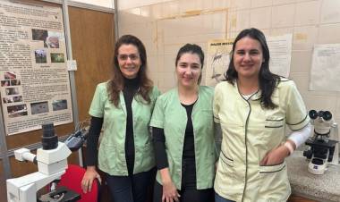 NUEVOS HALLAZGOS SOBRE LA TRANSMISIÓN DE PARÁSITOS EN EL HOGAR