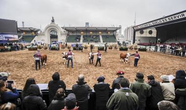 EL CAMPO Y MACRI LE MARCAN LA CANCHA FUERTE A MILEI