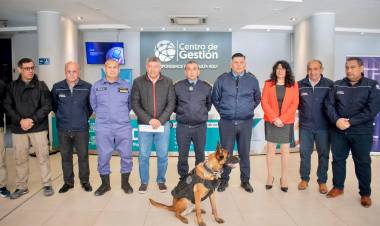 EXITOSO OPERATIVO DE SEGURIDAD: SE LOGRÓ SACAR 50 KILOS DE MARIHUANA DE LAS CALLES DE SÁENZ PEÑA