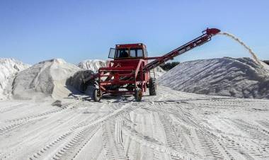 EL GOBIERNO HABILITÓ LAS PROPINAS ELECTRÓNICAS