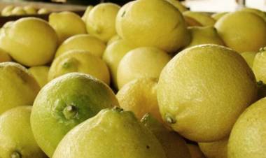 LA SUBA DEL CAMPO A LA GÓNDOLA