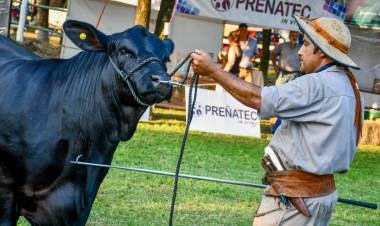 GRAL. SAN MARTÍN: EL GOBIERNO PROVINCIAL ACOMPAÑÓ LA 3° EXPO BRANGUS PRIMAVERA