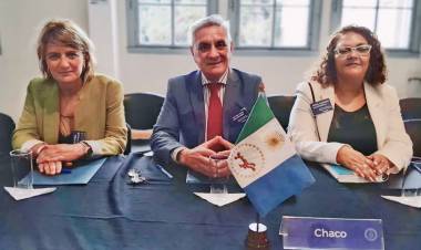 CHACO PARTICIPÓ DE LA 39º DEL CONSEJO FEDERAL DE DDHH Y LA 13º REUNIÓN ORDINARIA DE LAS MUJERES