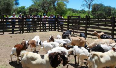 EL ESPINILLO: EL GOBIERNO PROVINCIAL REACTIVA EL PROGANO CON GRAN PRESENCIA EN TERRITORIO
