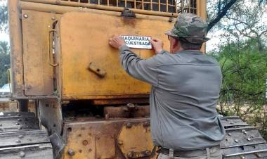 DETIENEN DESMONTE ILEGAL CERCA DE CASTELLI Y SECUESTRAN DOS TOPADORAS