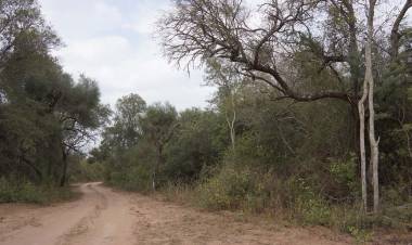 SE MODIFICÓ LA MODALIDAD DE LAS AUDITORÍAS  PARA BENEFICIARIOS DE PENSIONES DE NUEVA POMPEYA, EL SAUZALITO, MIRAFLORES Y EL ESPINILLO