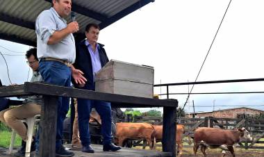 REMATES Y CAPACITACIONES PARA FORTALECER A LOS PRODUCTORES CHAQUEÑOS