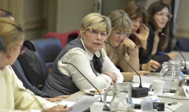 CON LA PARTICIPACIÓN DE CHACO, EL CONSEJO FEDERAL DE EDUCACIÓN AVANZÓ EN NUEVOS MARCOS DE REFERENCIA PARA LA EDUCACIÓN TÉCNICO PROFESIONAL