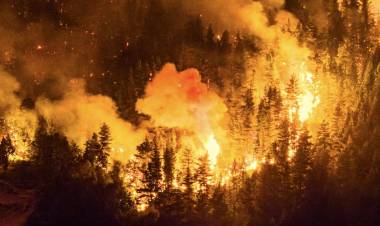 CHUBUT: EL GOBIERNO ASEGURA QUE 22 DE LOS 32 INCENDIOS ESTÁN “COMPLETAMENTE EXTINGUIDOS”