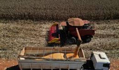 DE FÁBRICA NACIONAL A IMPORTAR LOS PRODUCTOS