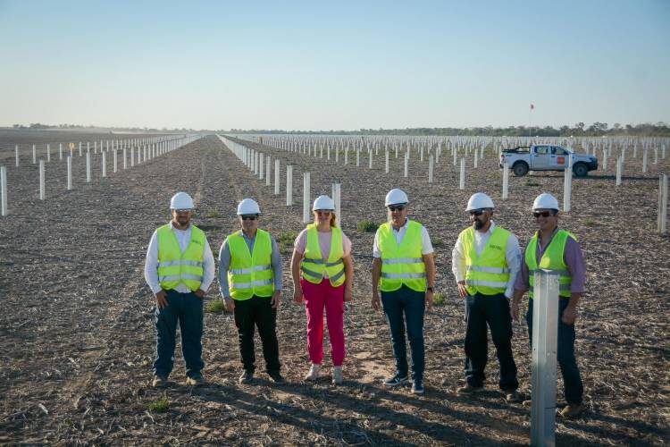 ZDERO EN EL DEPARTAMENTO BROWN: ELECTRIFICACIÓN RURAL EN RÍO MUERTO- LOS FRENTONES Y PRIMER PARQUE SOLAR DEL CHACO, EN PAMPA DEL INFIERNO