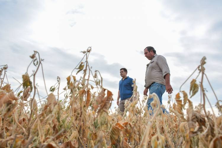 ALTAS TEMPERATURAS: HALAVACS RECORRIÓ LAS ZONAS MÁS AFECTADA