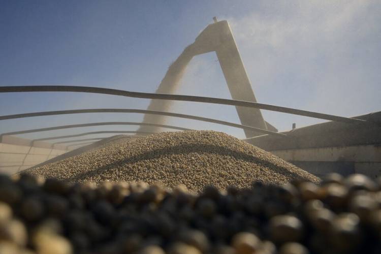 REACCIÓN EMPRESARIA POR LA CAÍDA DE LA LEY