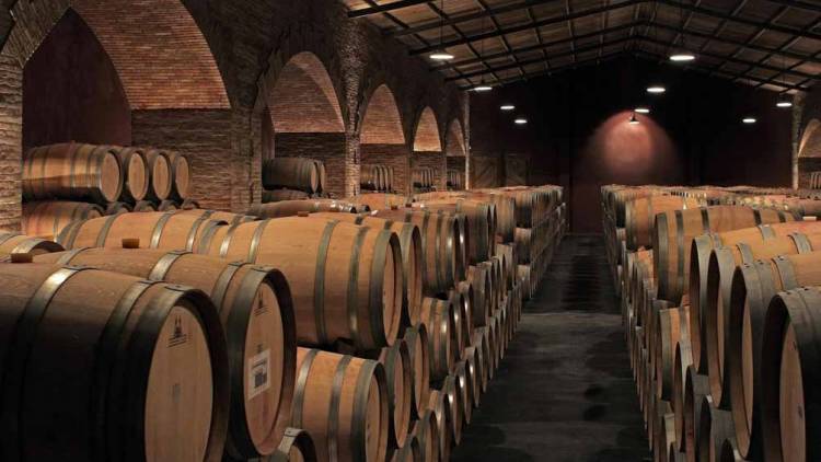 UN GRUPO ASOCIATIVO DE MUJERES PRODUCTORAS DE VINOS REALIZARÁ SU PRIMERA EXPORTACIÓN