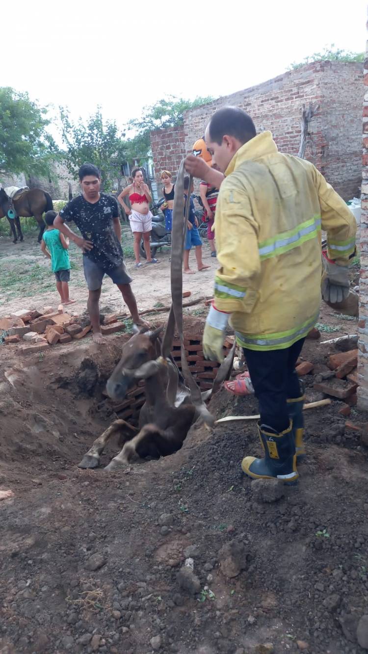 VILLA ÁNGELA: BOMBEROS RESCATARON A UN CABALLO QUE CAYÓ EN UN POZO