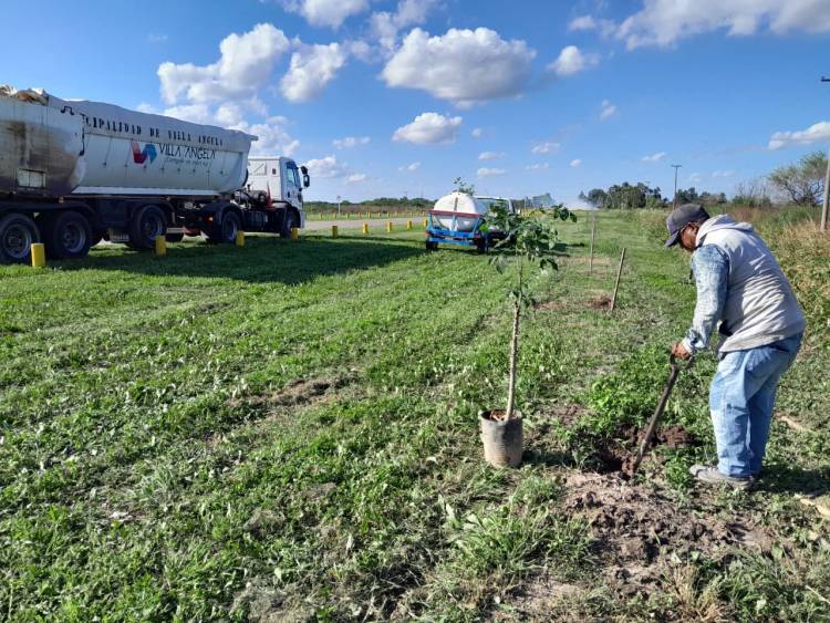 VILLA ANGELA: TRABAJOS DE REFORESTACIÓN EN DISTINTOS PUNTOS DE LA CIUDAD