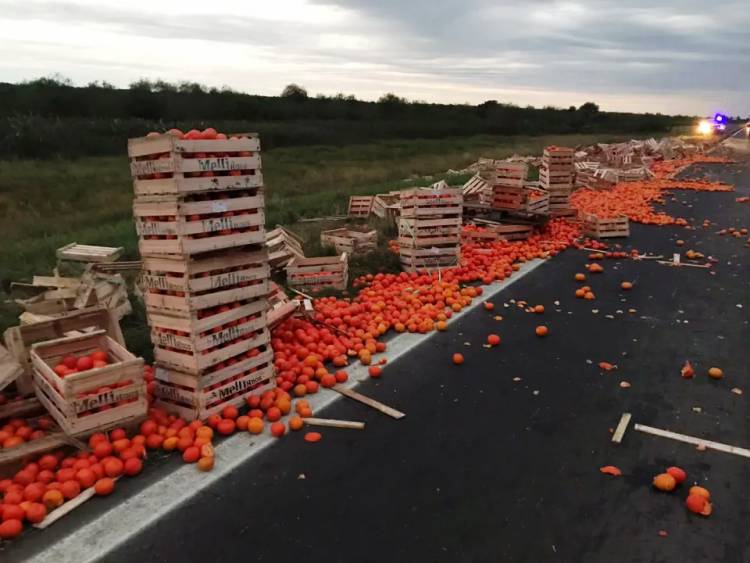 UN CAMIÓN REPLETO DE CÍTRICOS VOLCÓ CERCA DE LA ESCONDIDA