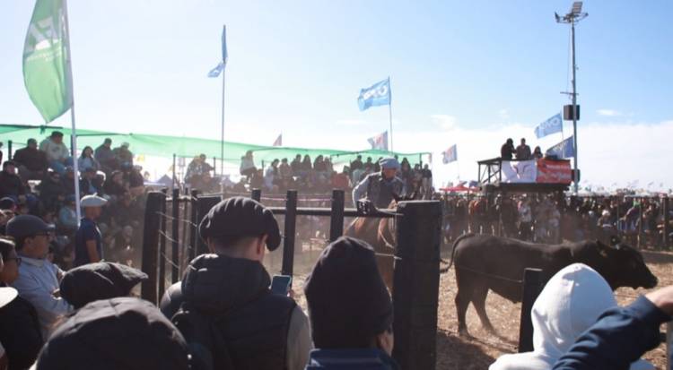 CHARATA: AGRONEA 2024, GANADERÍA, ANÁLISIS ECONÓMICO Y CIBERSEGURIDAD SOBRESALIERON EN OTRA JORNADA EXITOSA