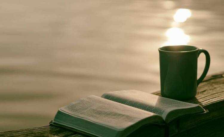 LA MEJOR LITERATURA, LA BIBLIA