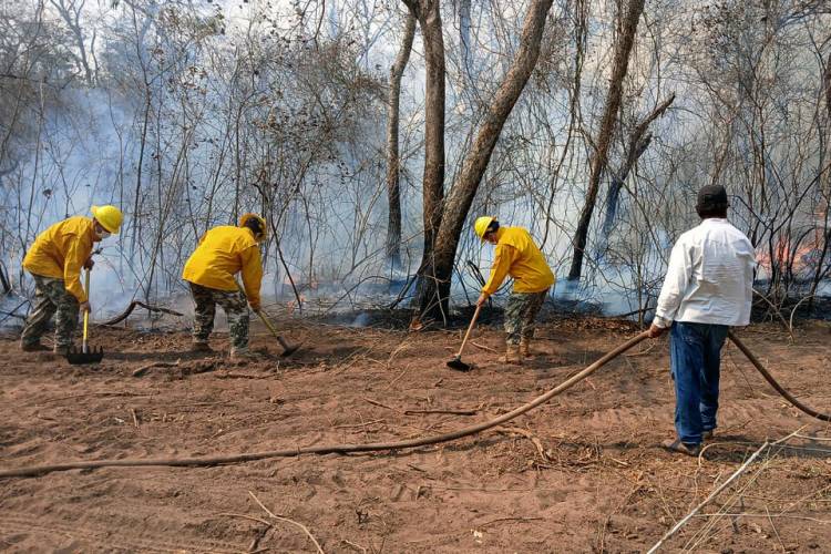 MÁS DE 50.000 HECTÁREAS AFECTADAS POR INCENDIOS FORESTALES EN EL NORTE DEL CHACO PARAGUAYO