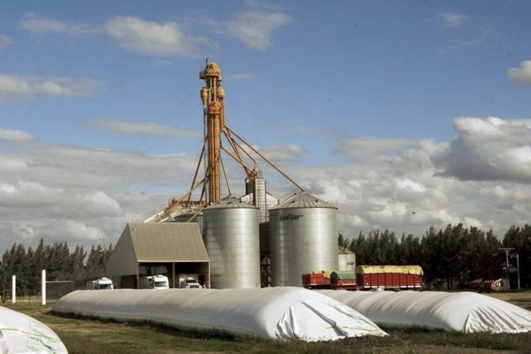EL ULTIMÁTUM DEL COMPLEJO AGROEXPORTADOR: DEVALUACIÓN O BAJA DE RETENCIONES