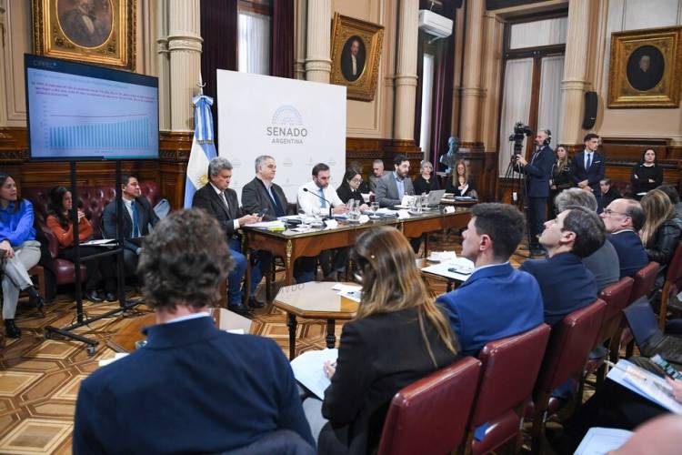 OTRO REVÉS POLÍTICO PARA MILEI EN EL SENADO