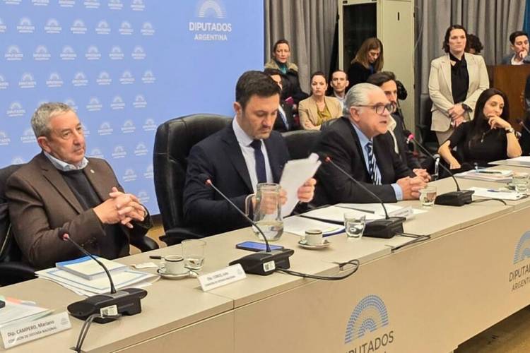 PETRI FUE AL CONGRESO A DEFENDER QUE LOS MILITARES SALGAN A LAS CALLES