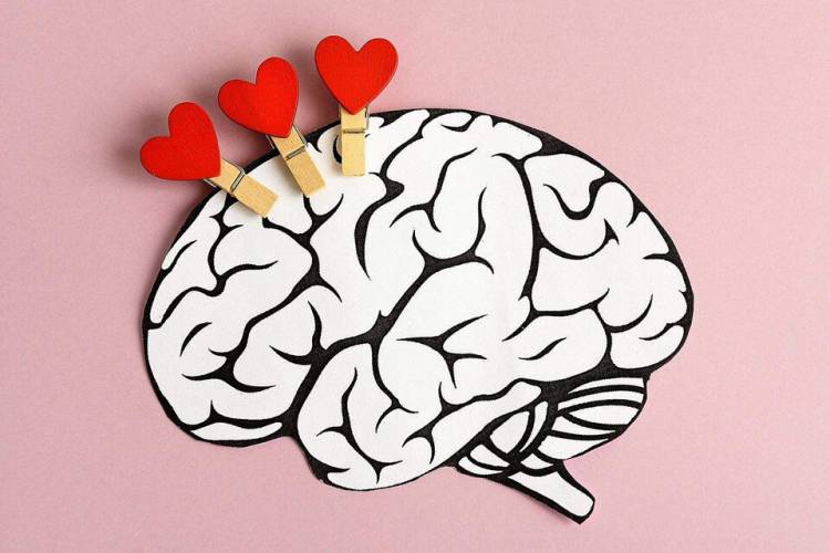 UN ESTUDIO DEVELA DÓNDE RESIDE EL AMOR EN EL CEREBRO Y CÓMO SE ACTIVA