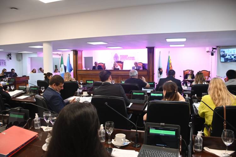 LA LEGISLATURA APROBÓ LA CREACIÓN DEL OBSERVATORIO DE CONFLICTOS DE TIERRAS, Y DE UN PLAN PROVINCIAL DE PREVENCIÓN DEL EMBARAZO ADOLESCENTE