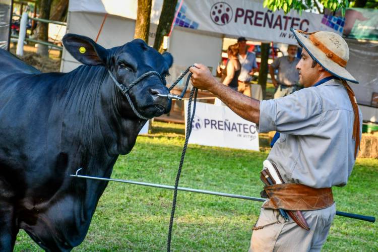 GRAL. SAN MARTÍN: EL GOBIERNO PROVINCIAL ACOMPAÑÓ LA 3° EXPO BRANGUS PRIMAVERA