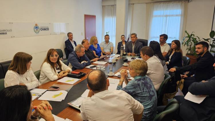 EL GOBIERNO DEL CHACO Y LEGISLADORES AVANZARON EN EL ORDENAMIENTO TERRITORIAL DEL BOSQUE NATIVO