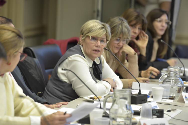 CON LA PARTICIPACIÓN DE CHACO, EL CONSEJO FEDERAL DE EDUCACIÓN AVANZÓ EN NUEVOS MARCOS DE REFERENCIA PARA LA EDUCACIÓN TÉCNICO PROFESIONAL