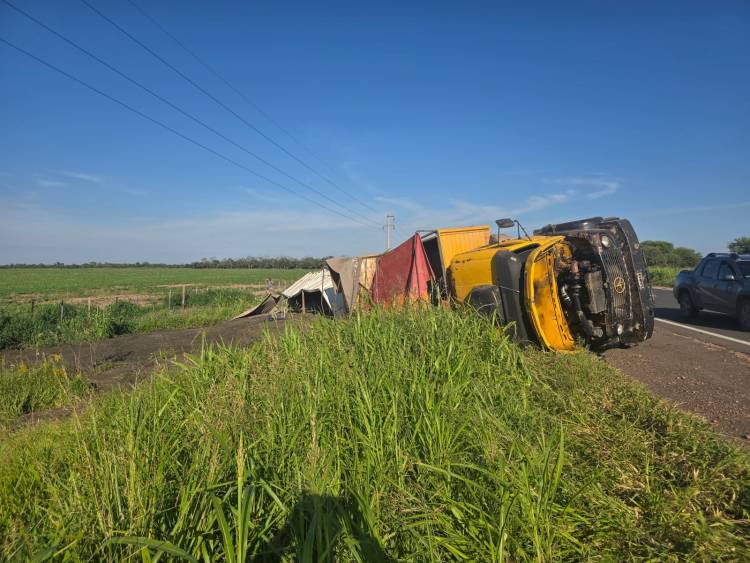 VOLCÓ UN CAMIÓN QUE TRANSPORTABA MÁS DE 28 MIL KILOS DE SEMILLAS
